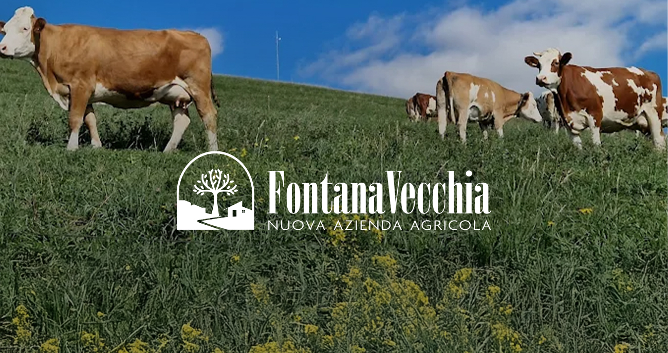 Restyling Fontana Vecchia